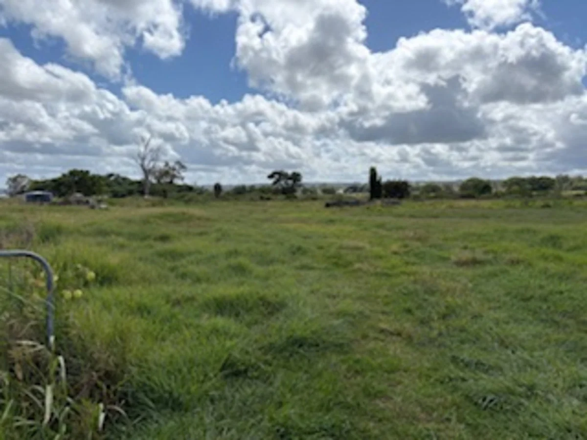 Image 20