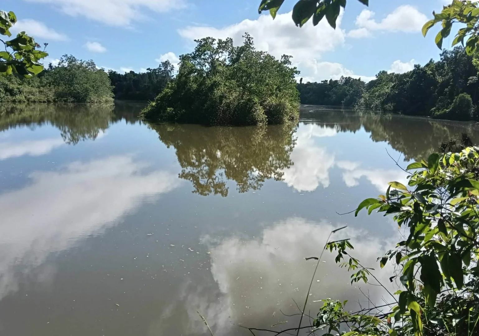 Additional image 5 of 680 Bluff Road, Bilyana QLD 4854