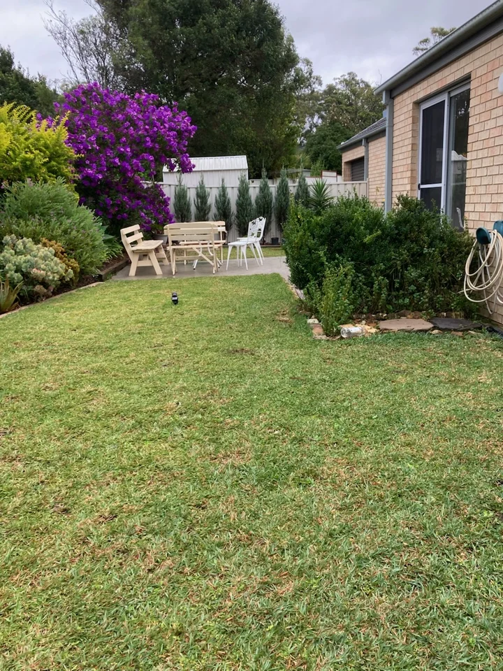Image 16