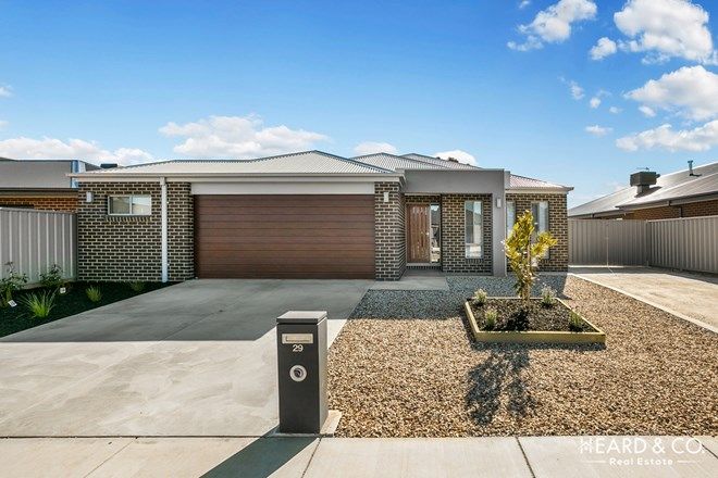Picture of 29 Limousin Court, ASCOT VIC 3551