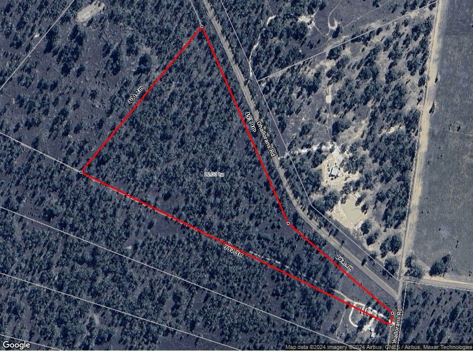 Rural in Lot 41 O'Hallorans Road, TARA QLD, 4421