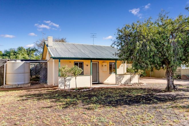 Picture of 46 Colin Street, LOXTON SA 5333