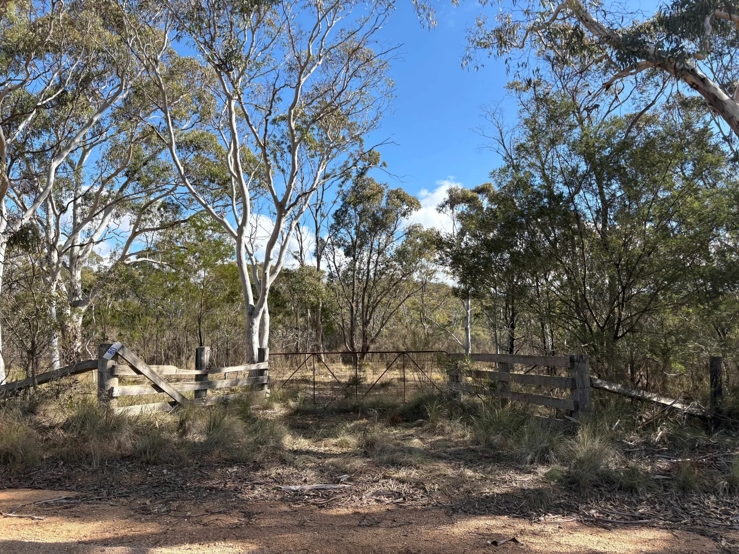 Image 9