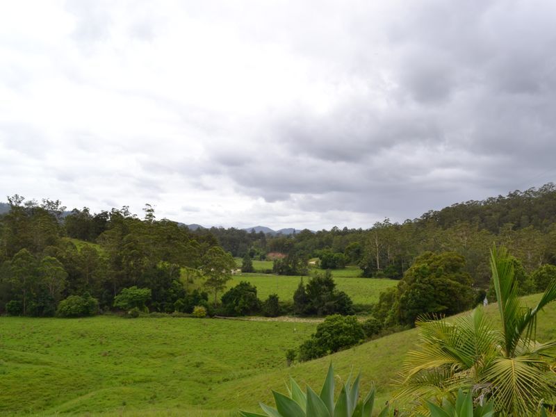 Lot 4 - 206 Upper Buckrabendinni Road, Buckra Bendinni NSW 2449, Image 1