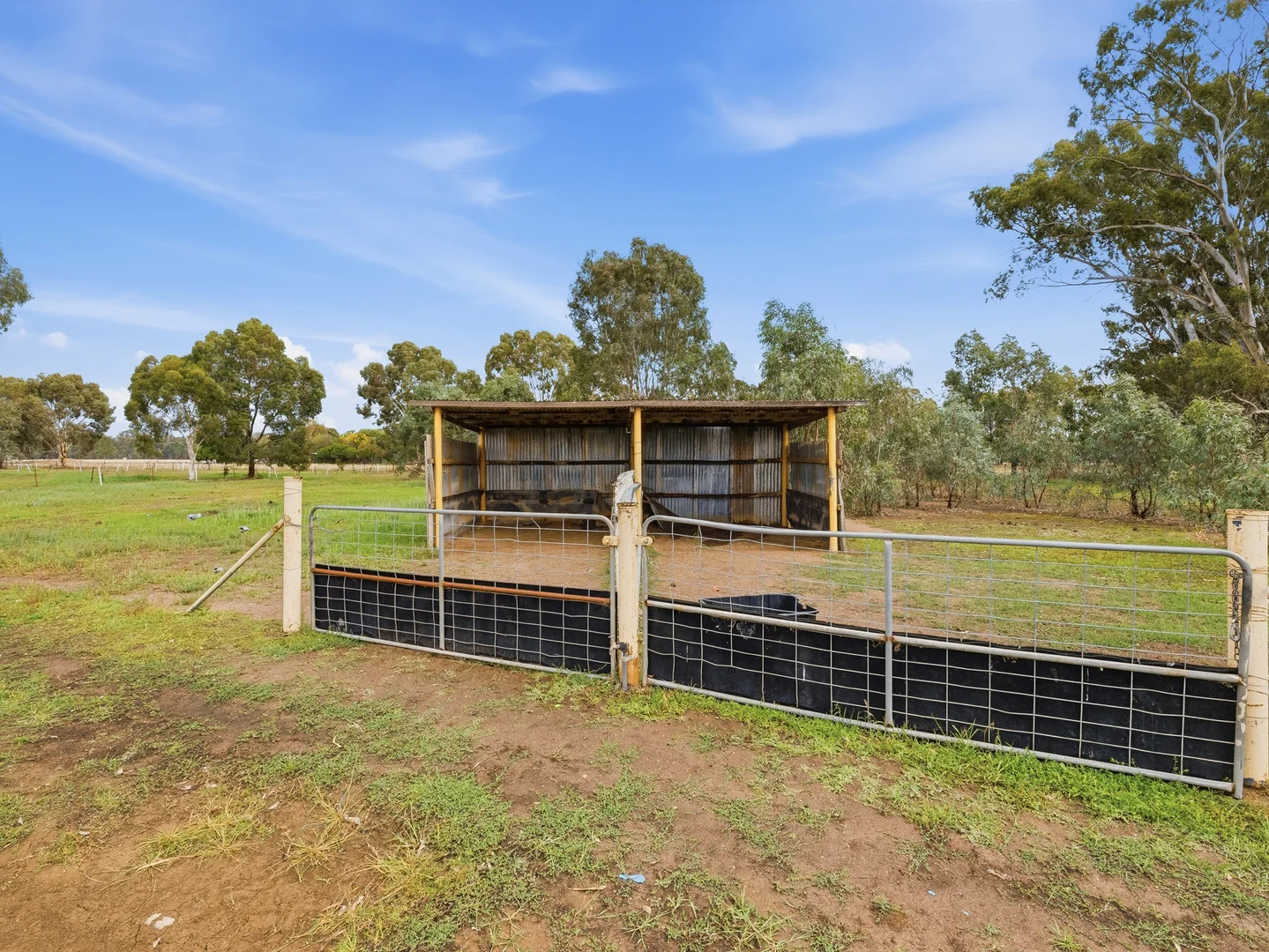 Additional image 25 of 591 Baddaginnie - Benalla Road, Baddaginnie VIC 3670