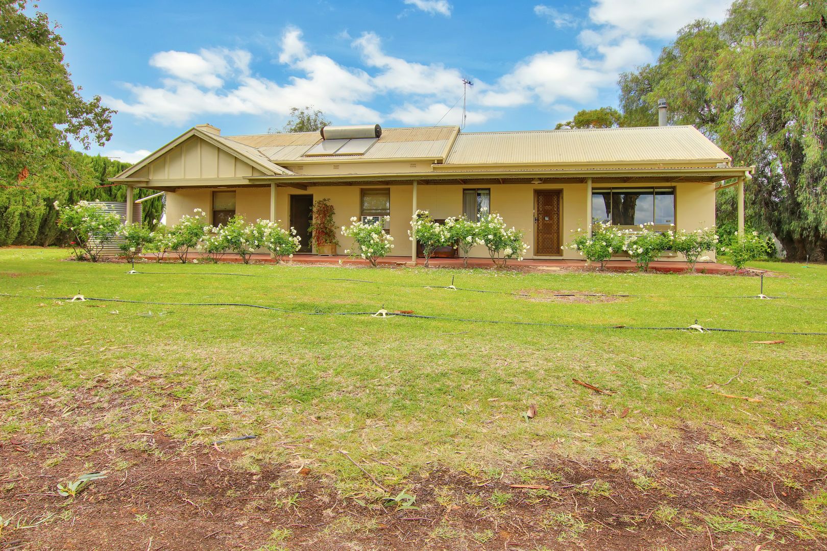 36 Mattner Road, Waikerie SA 5330, Image 1