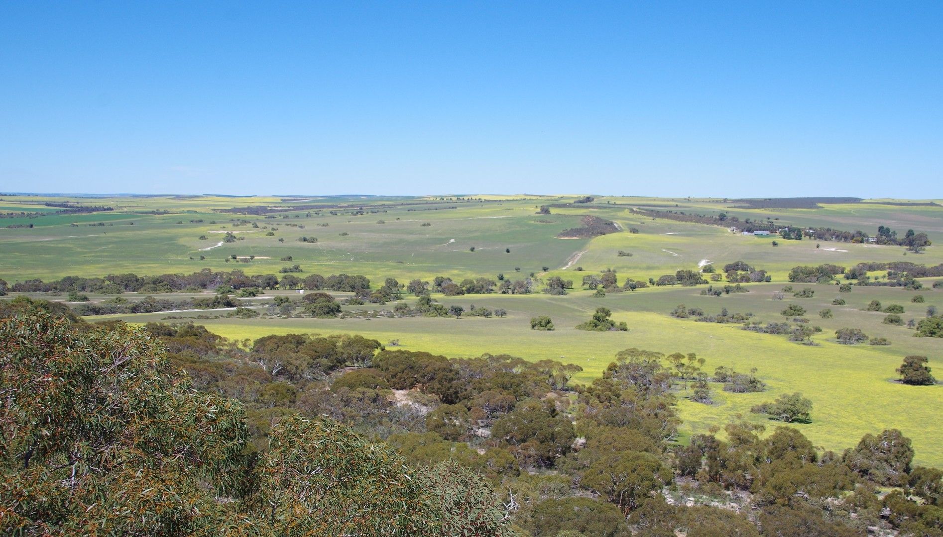 435 Tootbardie Road, Badgingarra WA 6521, Image 0