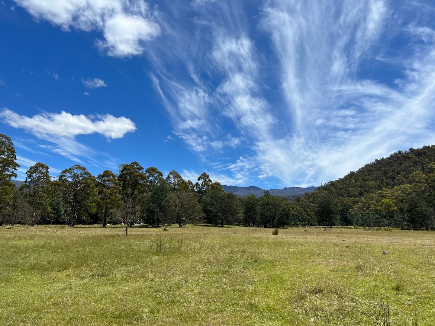 Tims Creek Road, Mathinna TAS 7214, Image 2