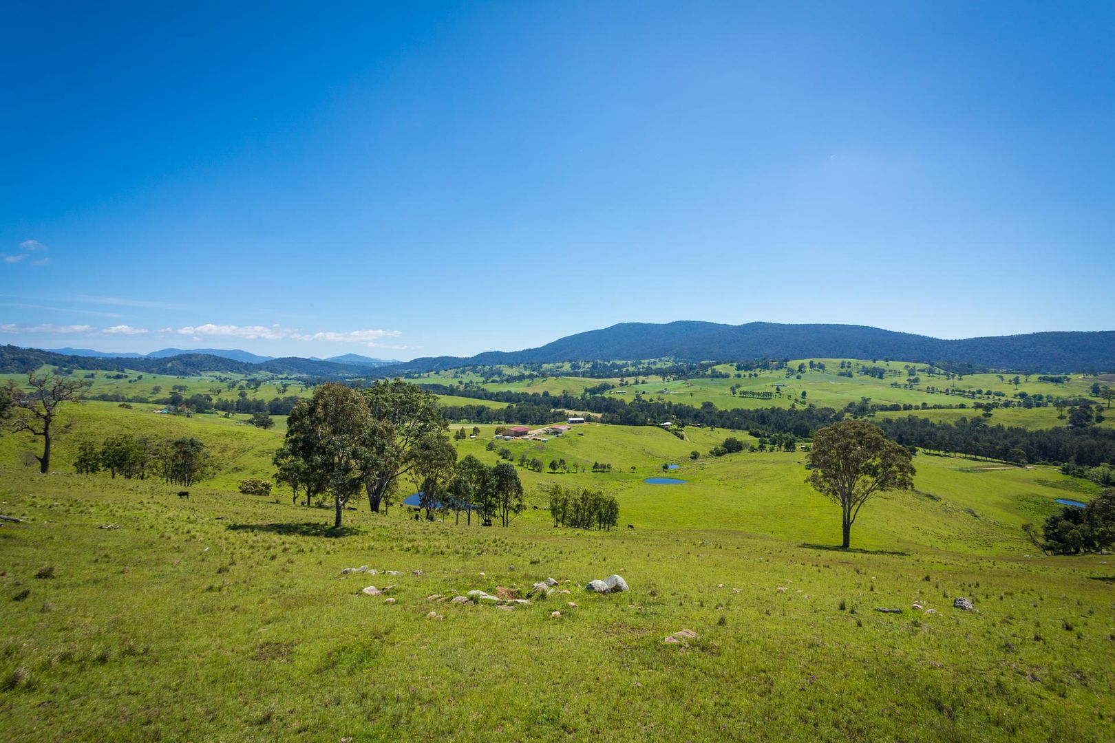 Lot 123 'Foster Paddock' Princes Hwy, Bega NSW 2550, Image 2