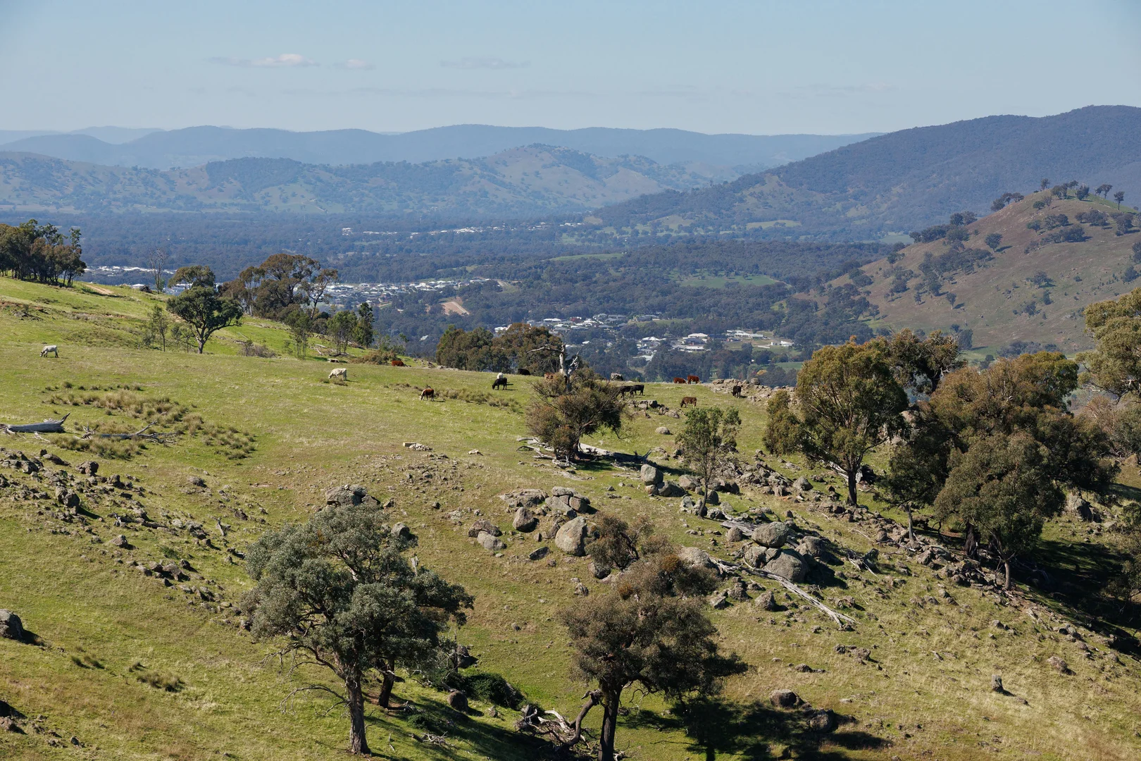 Image 31
