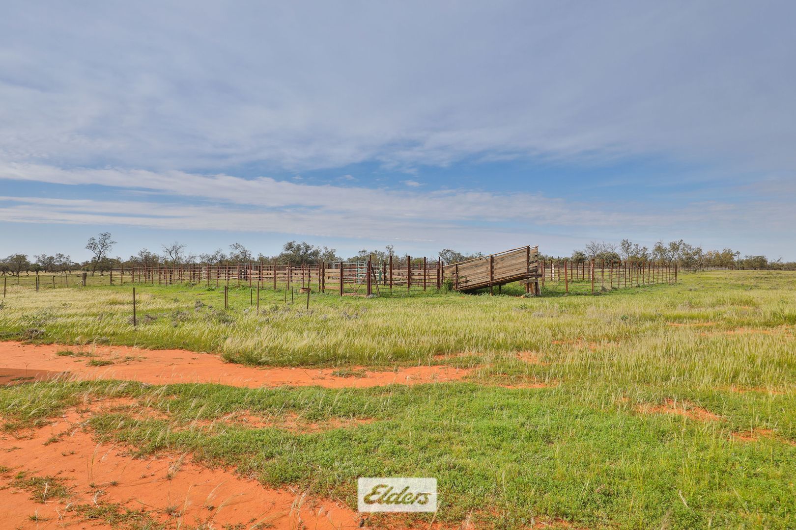 Tareena Station, Renmark Road, Wentworth NSW 2648, Image 1