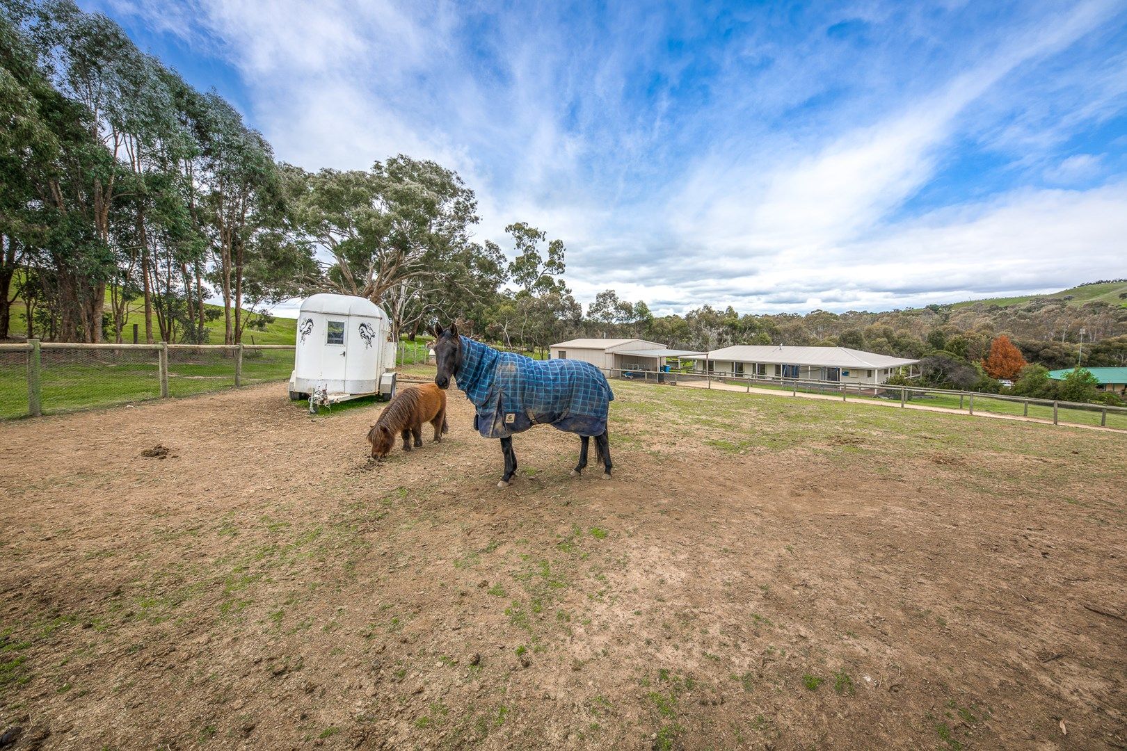 9 Wason Court, Tooborac VIC 3522, Image 0