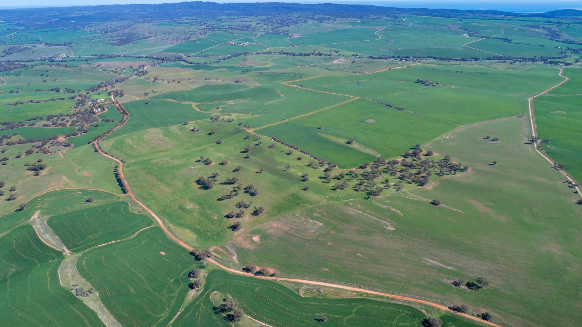 'Pinerow' Lot 782 Horrocks Highway, Wongyarra SA 5481, Image 1