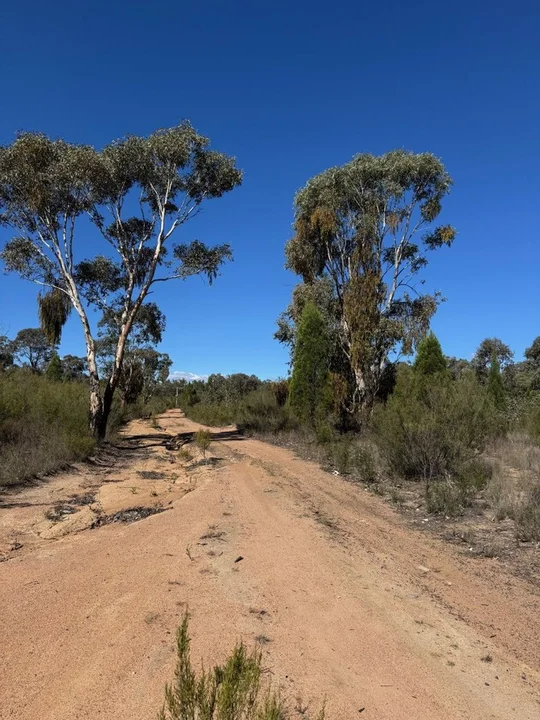 699 Cypress Drive, Mudgee NSW 2850