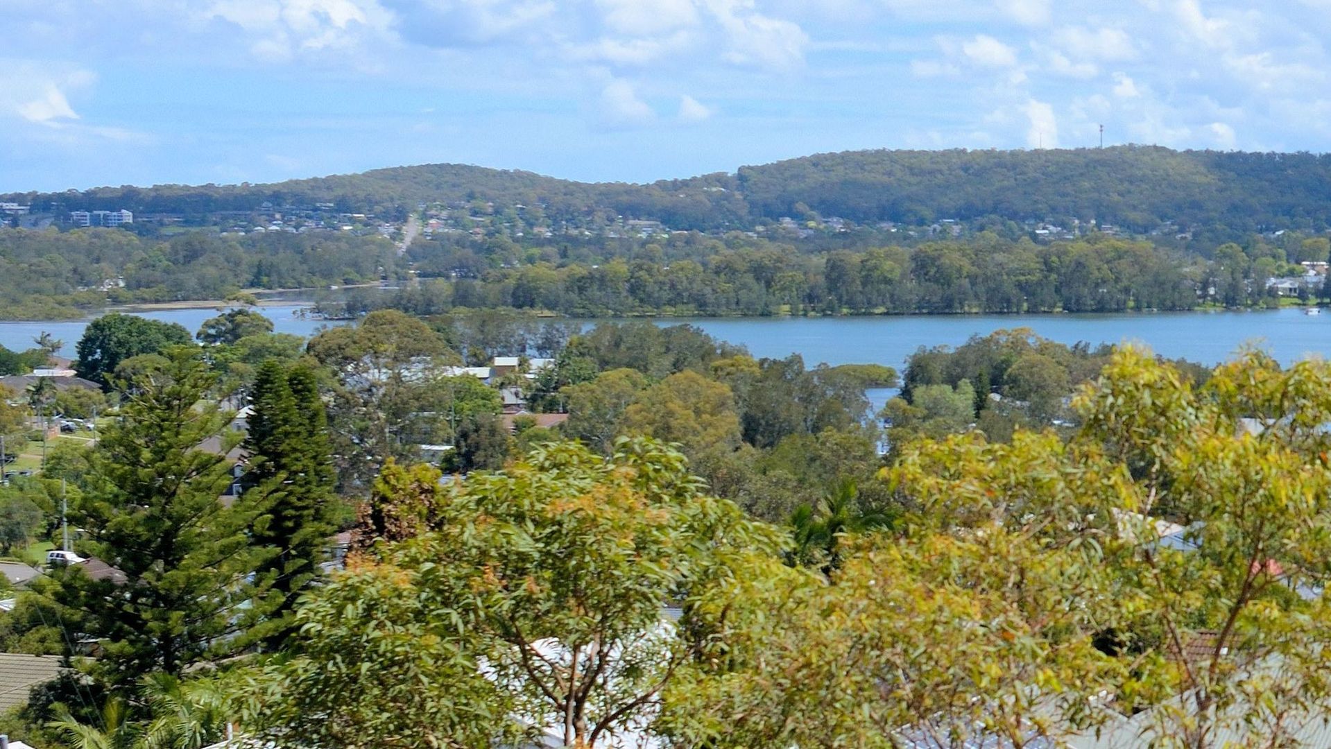 1 Bellevue Lane, Fennell Bay NSW 2283 Domain