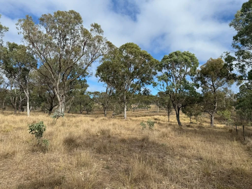 Additional image 27 of 57 Nielsens Road, Sugarloaf QLD 4380