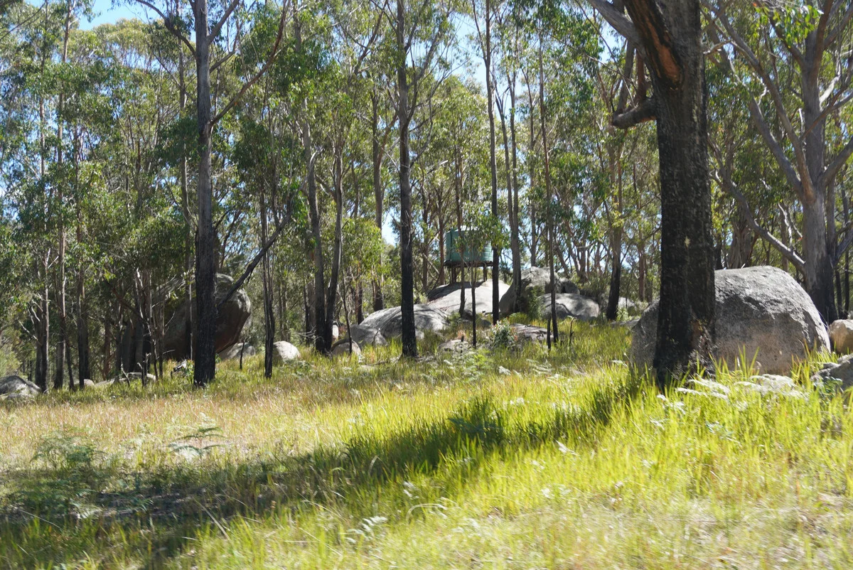 Additional image 24 of 1293 Mount Lindesay Road, Tenterfield NSW 2372