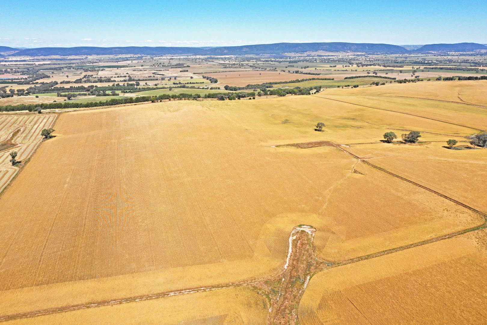 Scenic Rd, Young NSW 2594, Image 1