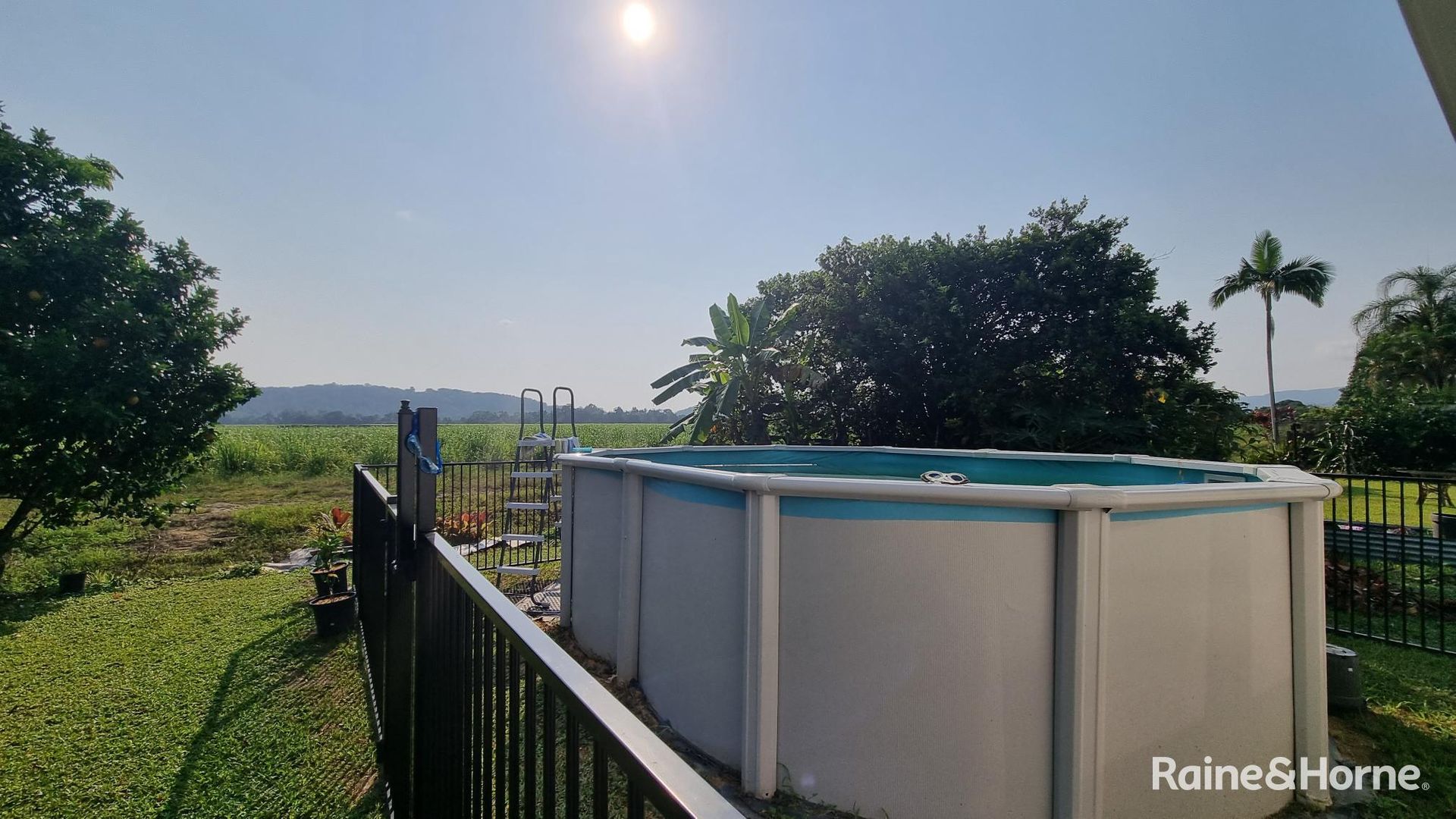 66 Alchera Drive, Mossman QLD 4873 House For Rent 540 Domain