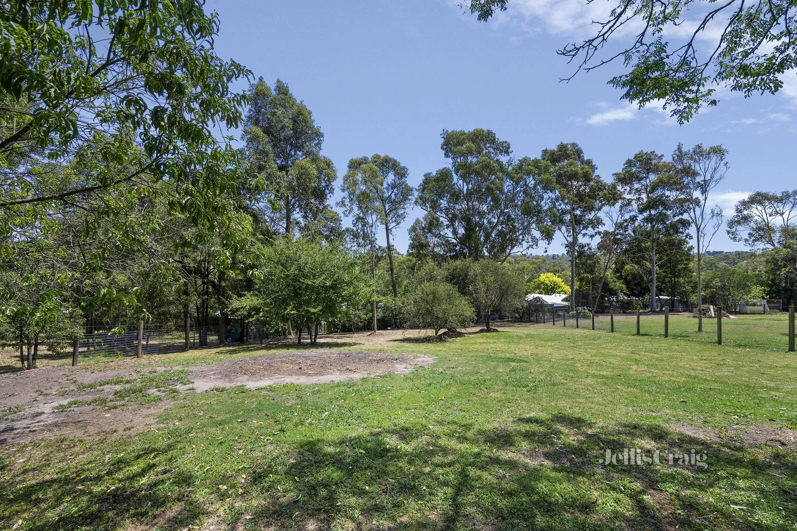Image 15