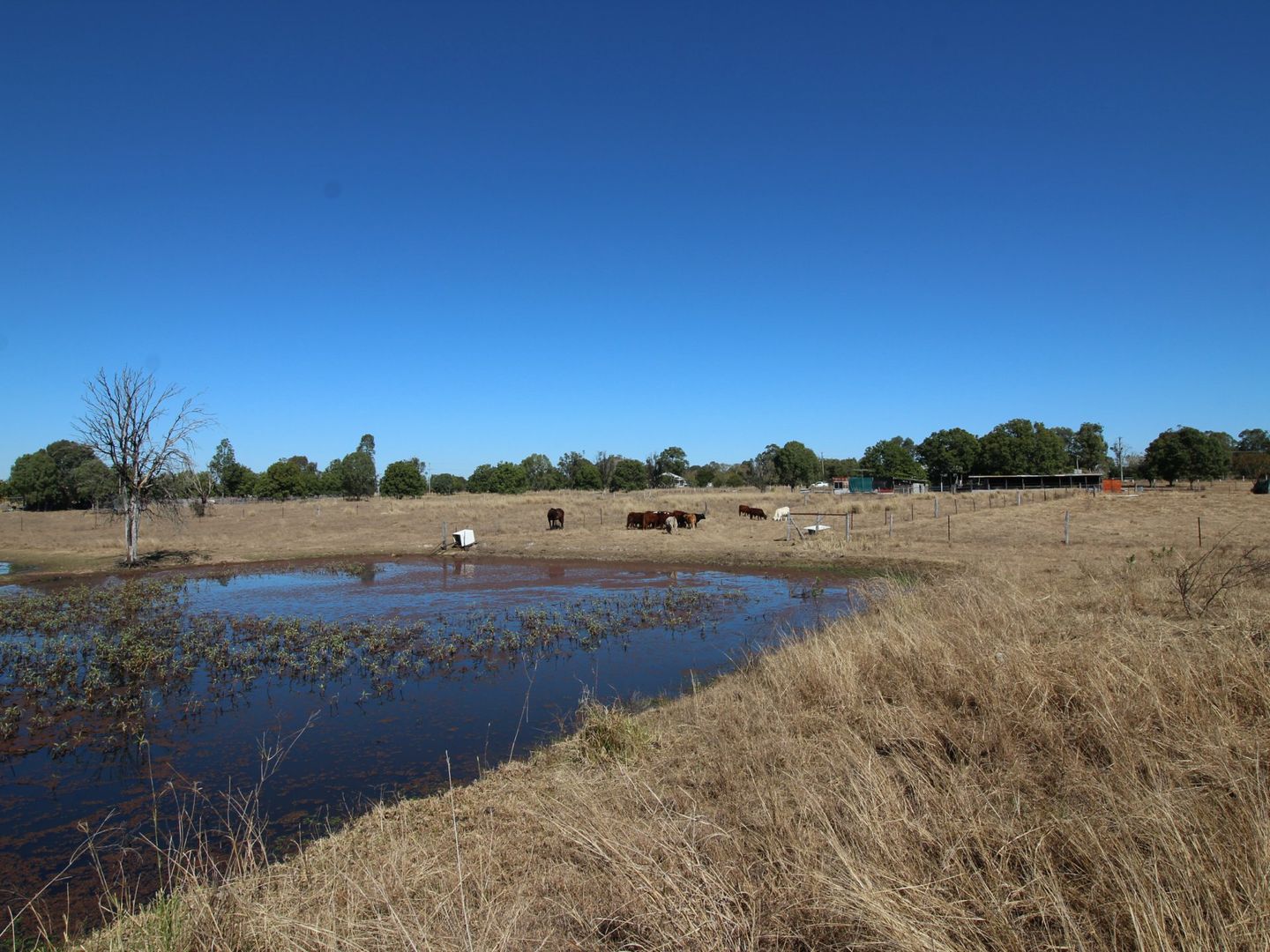 70 Daisy Road, Mount Tarampa QLD 4311, Image 1