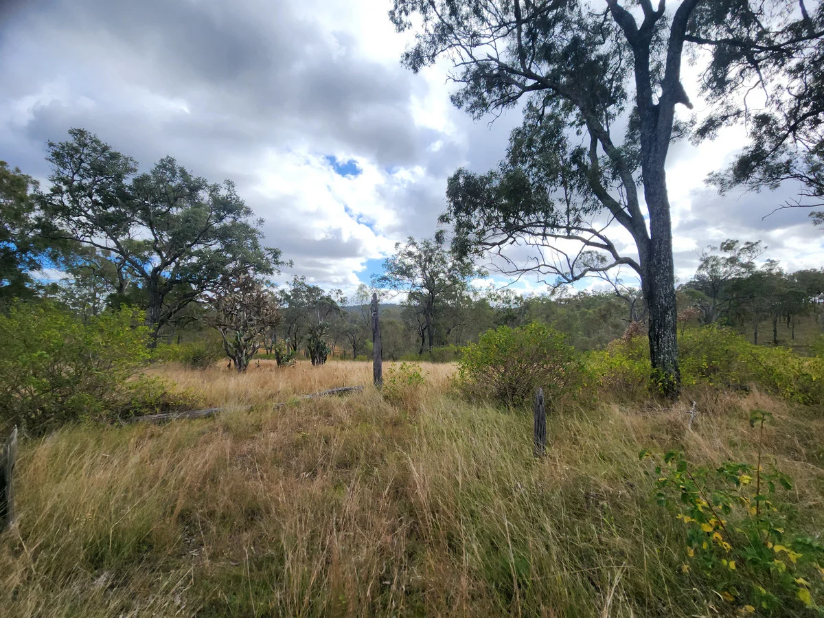 Image 15