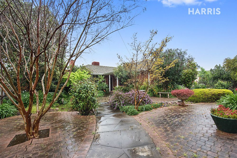 25 Hallett Avenue, Tranmere SA 5073, Image 0