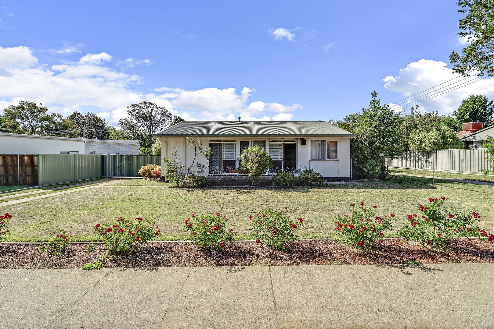 81 Majura Avenue, Dickson ACT 2602, Image 0