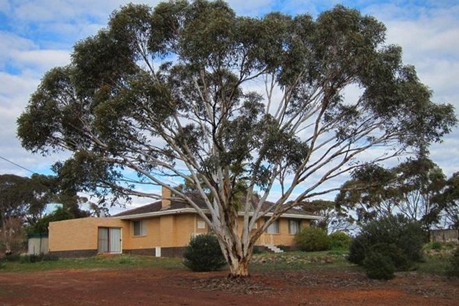 Picture of Lot 317 Toodyay Bindi-Bindi Road, BOLGART WA 6568