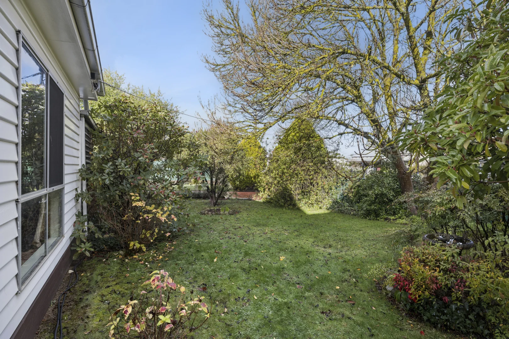 Image 15