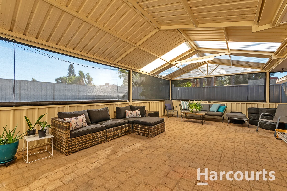Image 14