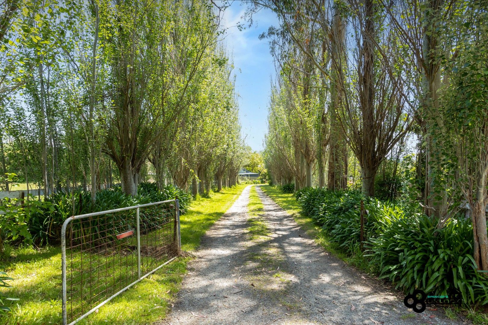 32 Grundy Avenue, Nyora VIC 3987 Domain