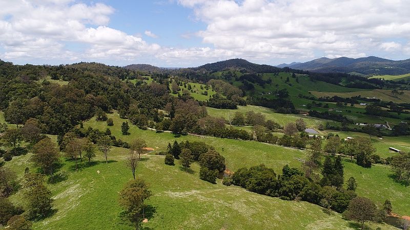 72 Briggsvale Road, Dorrigo NSW 2453, Image 2