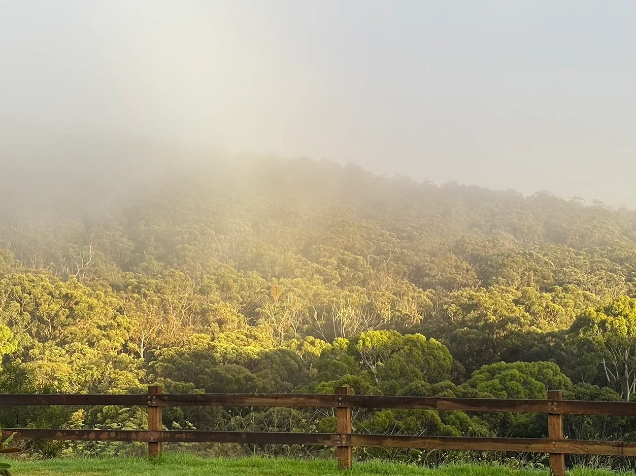 Additional image 25 of 11/133 Old Bowral Road, Bowral NSW 2576