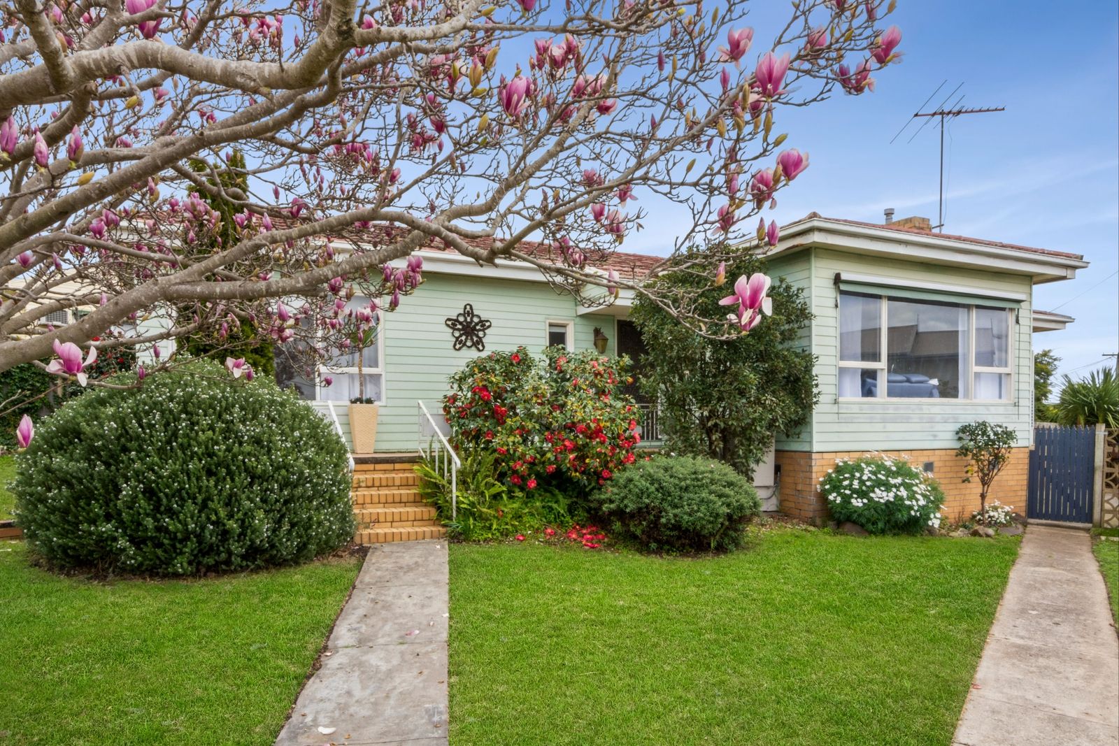 3 bedrooms House in 16 Sycamore Street HAMLYN HEIGHTS VIC, 3215