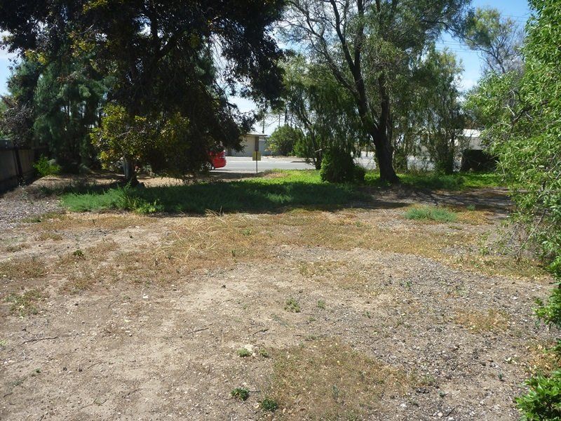 65, Lot 101 Warooka Road, Yorketown SA 5576, Image 1