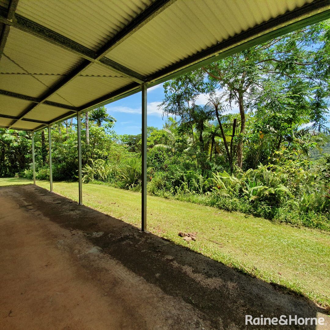 25 Mahogany Road, DIWAN, Daintree QLD 4873, Image 2