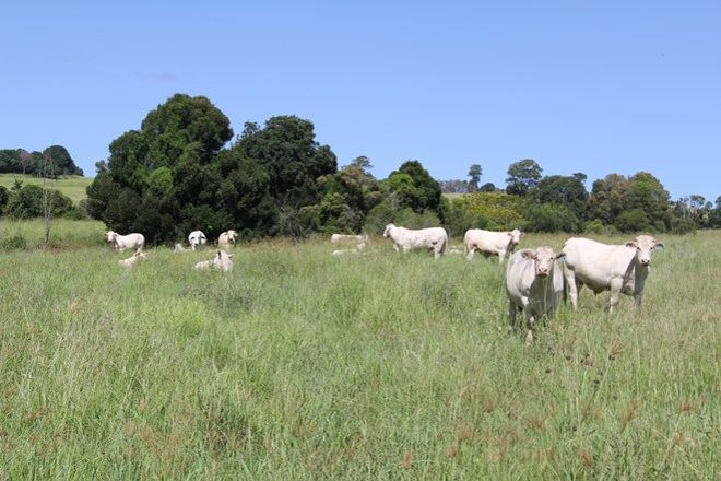 Picture of lot 79 corndale road, CORNDALE QLD 4610