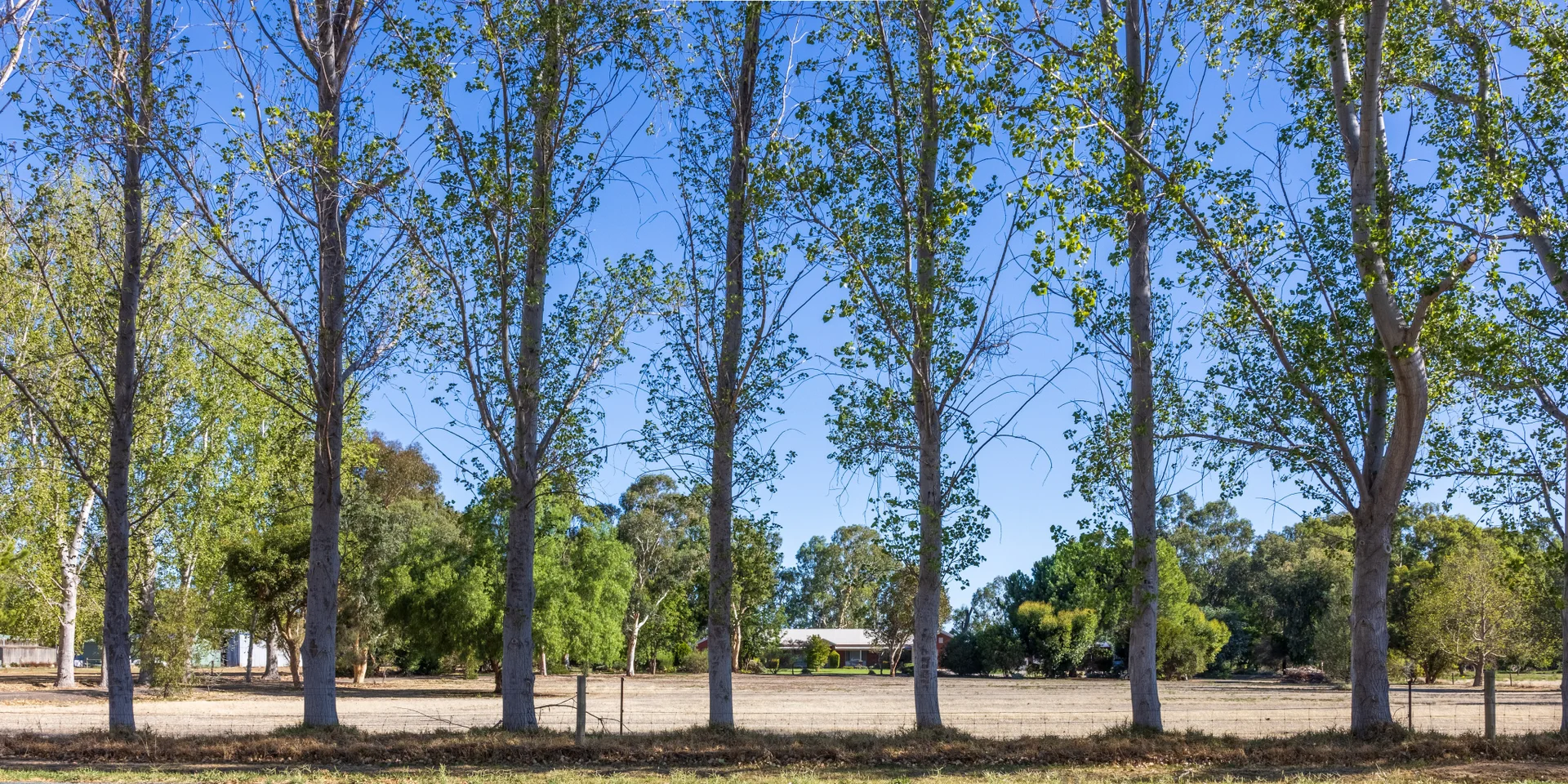 Additional image 20 of 50 Glenview, Barham NSW 2732