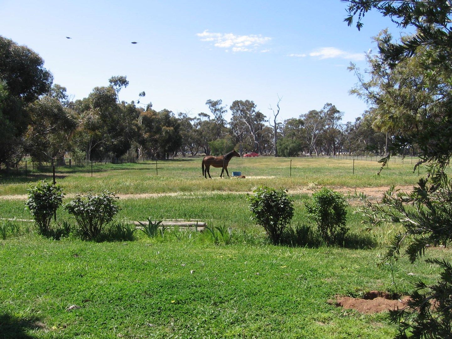 4979 Northern Highway, Elmore VIC 3558, Image 0