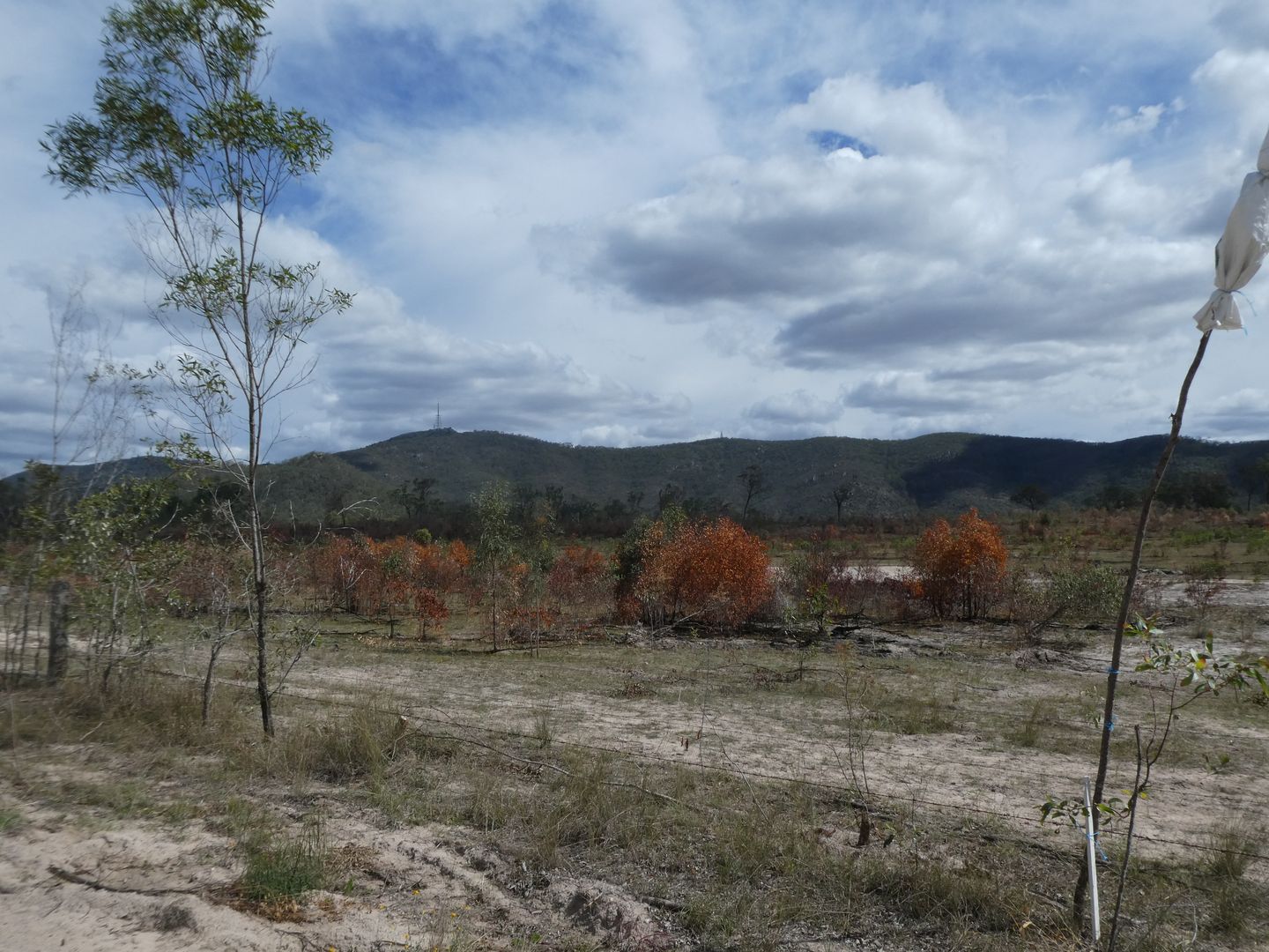 Golden Fleece QLD 4621, Image 1