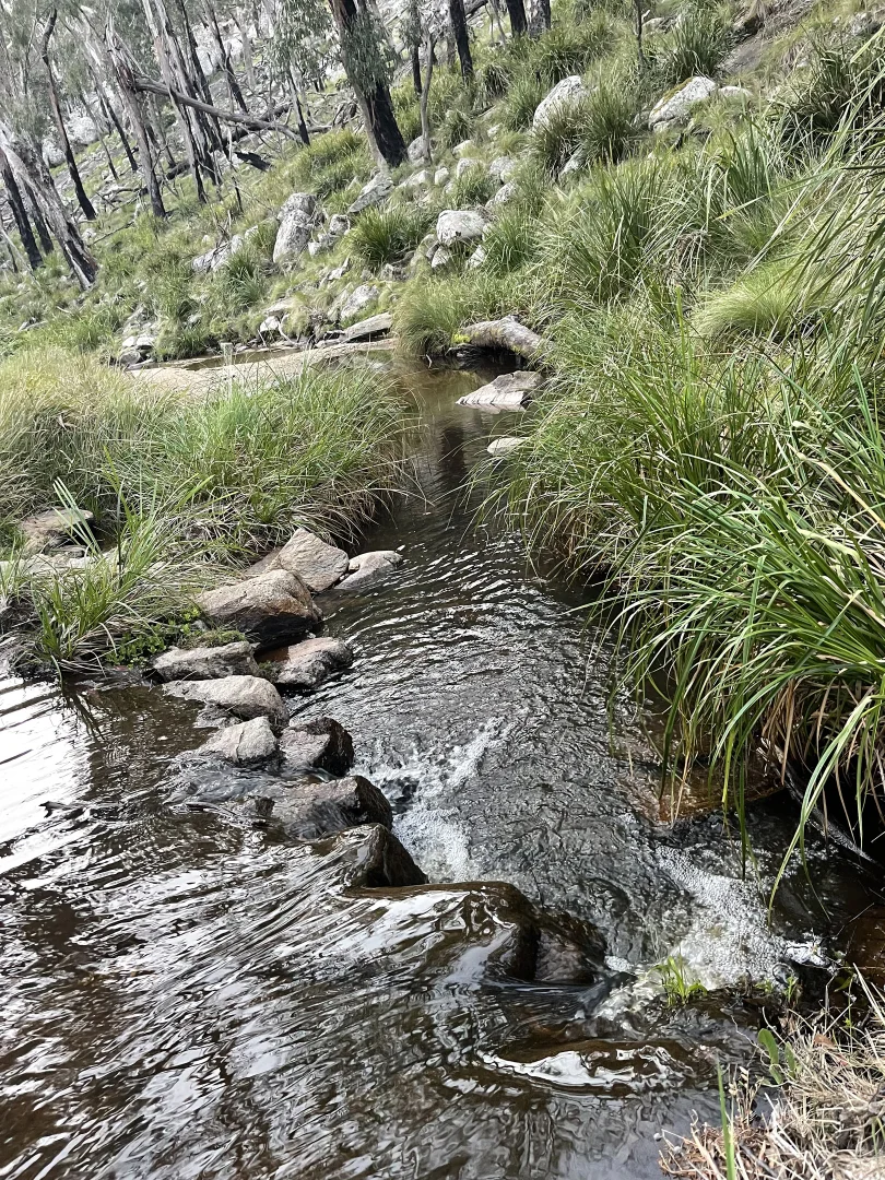 Additional image 19 of 1224 Mount Mckenzie Road, Tenterfield NSW 2372