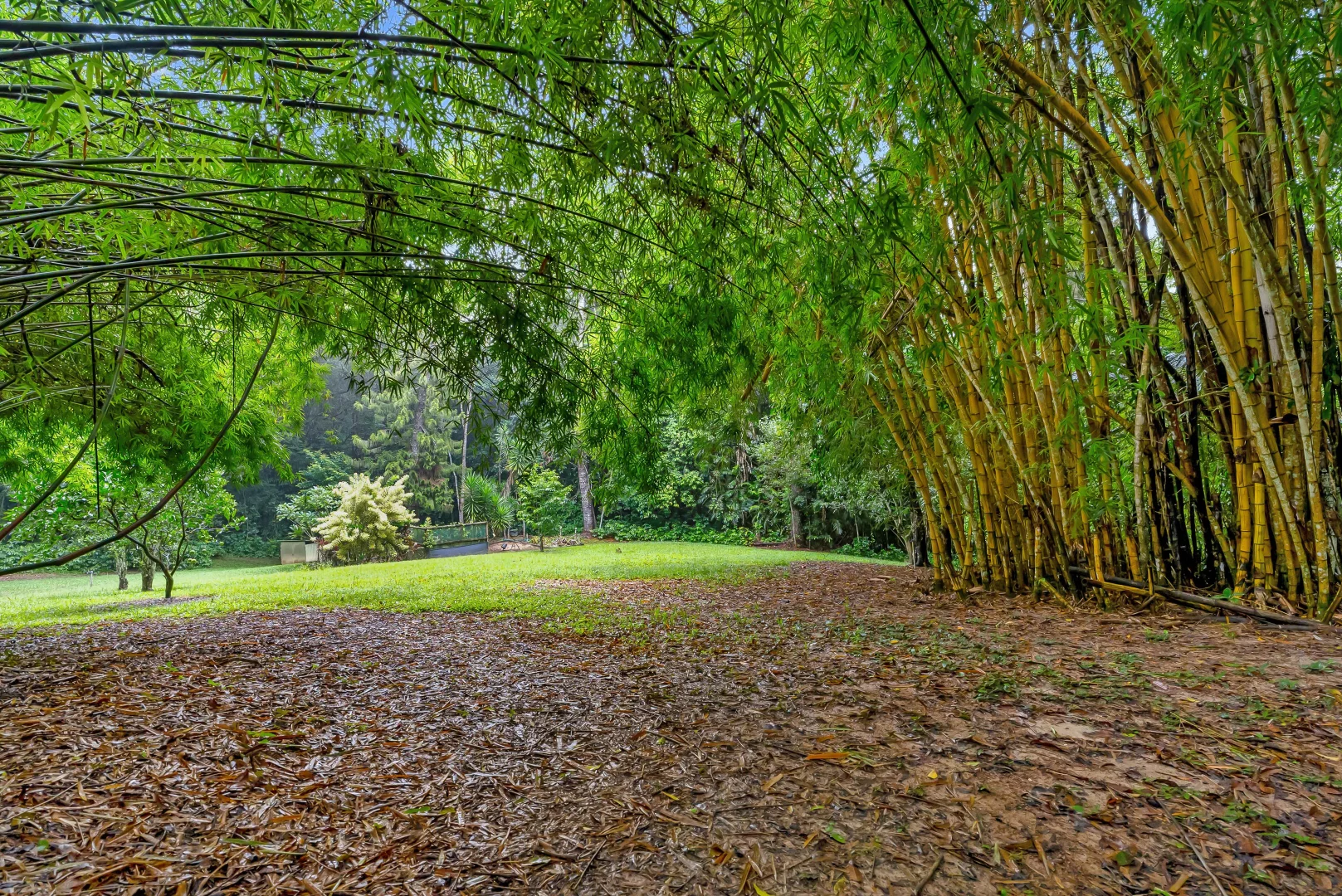 Additional image 28 of 480 Oak Forest Road, Kuranda QLD 4881