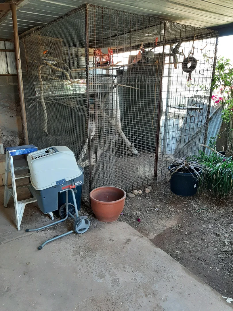 Image 18