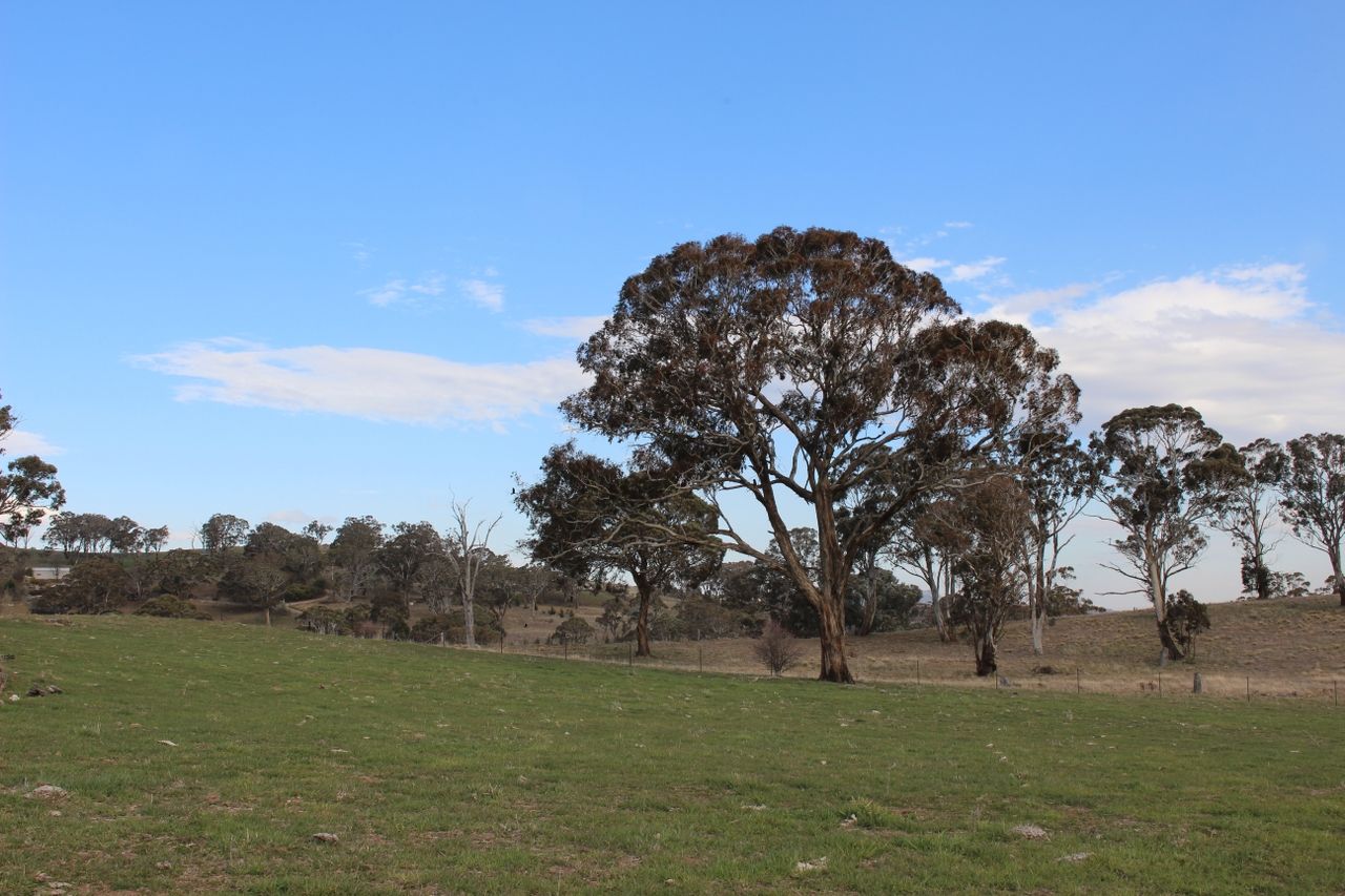 Lot 211 Browns Creek Road, Blayney NSW 2799, Image 2