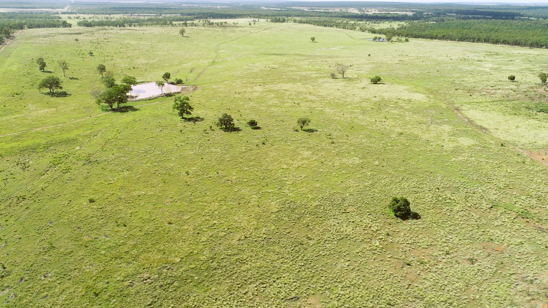 Additional image 5 of 'Langley' 344 Clarke Creek Road, Dulacca QLD 4425