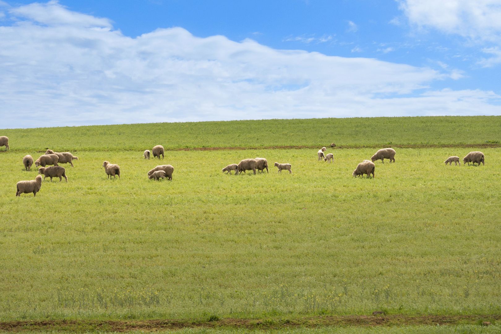 'Stoneleigh' Braefoot Road, Burra SA 5417, Image 1