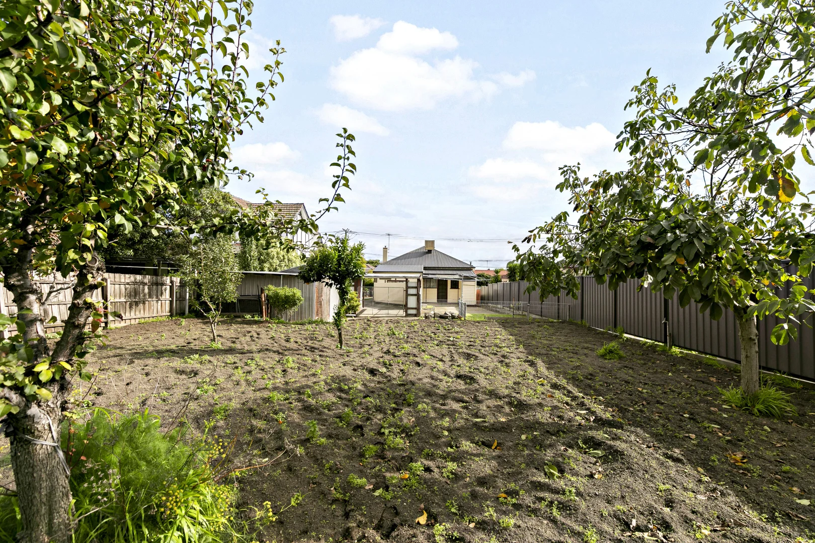 Image 15