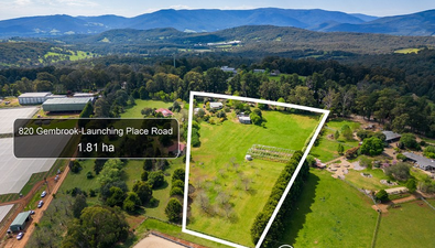 Picture of 820 Gembrook Launching Place Road, HODDLES CREEK VIC 3139