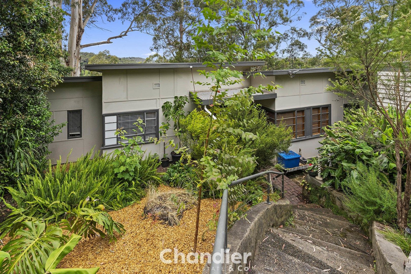 98 Martin Street, Belgrave VIC 3160, Image 0